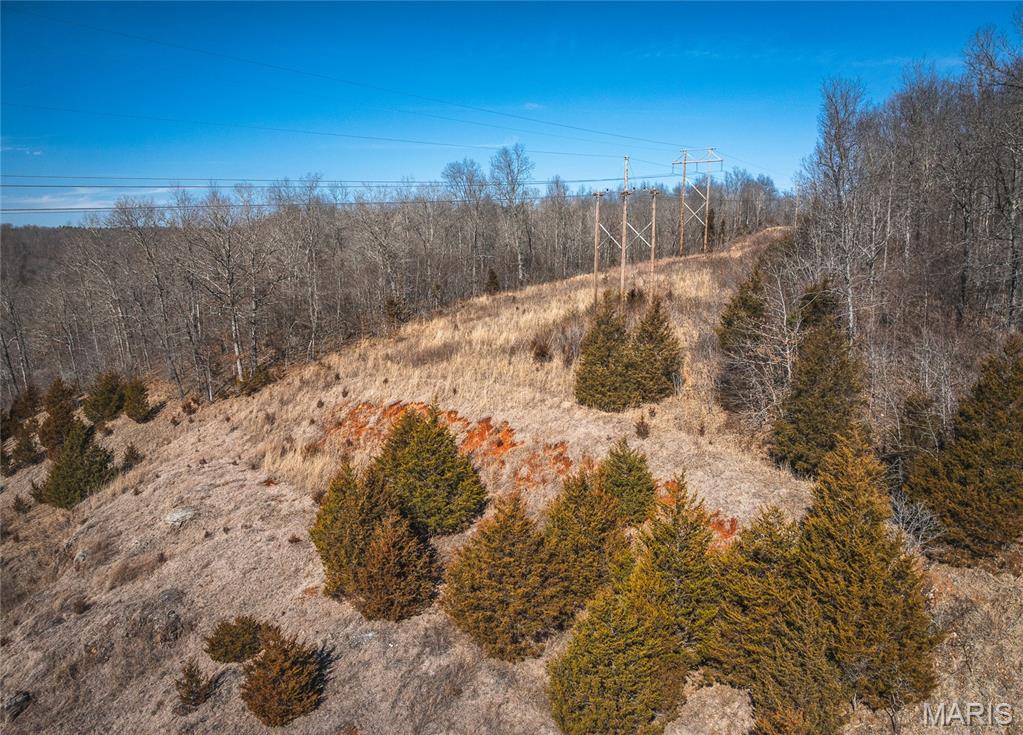 0 Highway C Property Photo 23