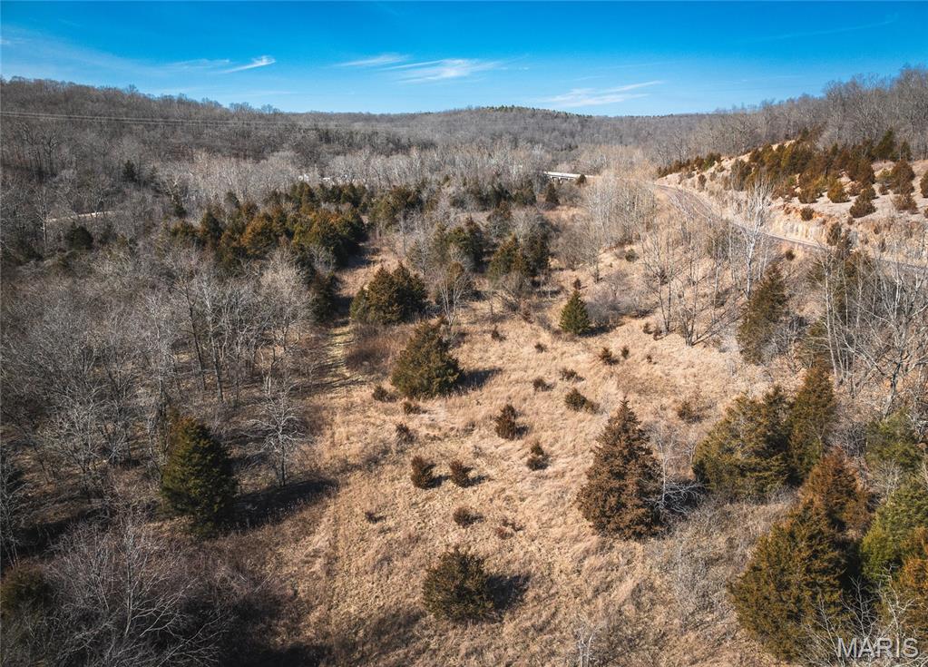 0 Highway C Property Photo 25