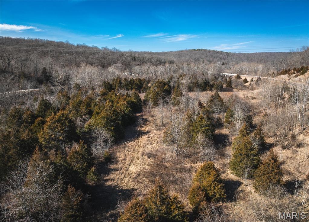 0 Highway C Property Photo 26