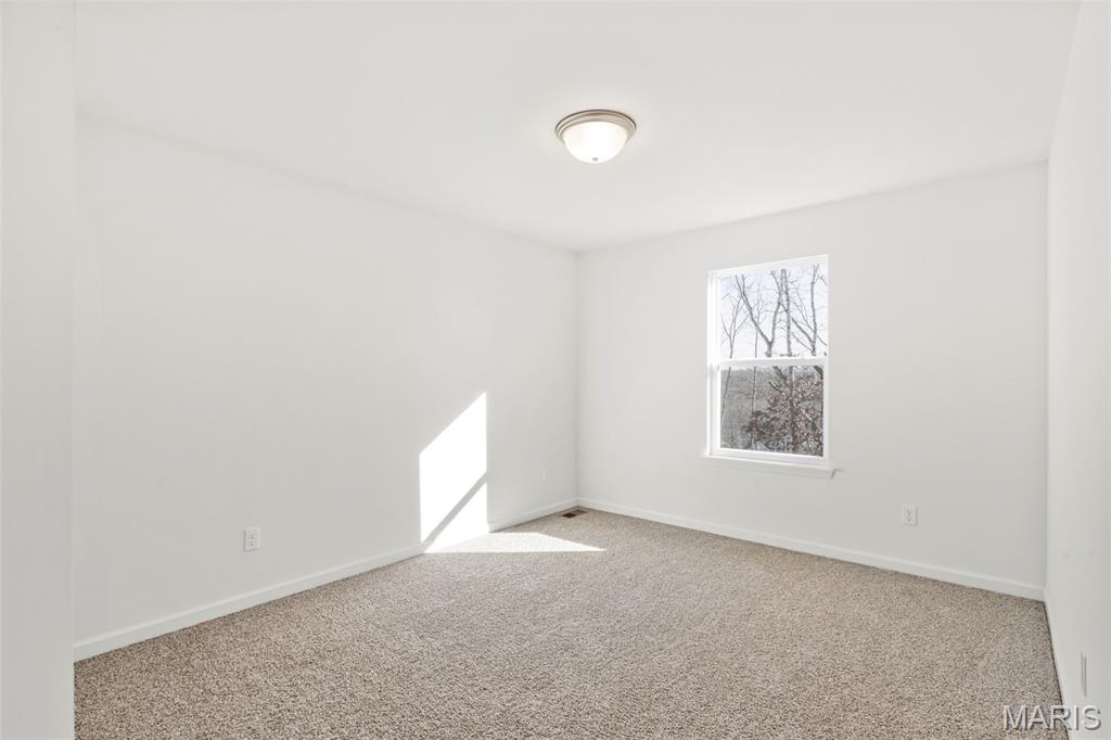 209 Gauntlet Lane Property Photo 15