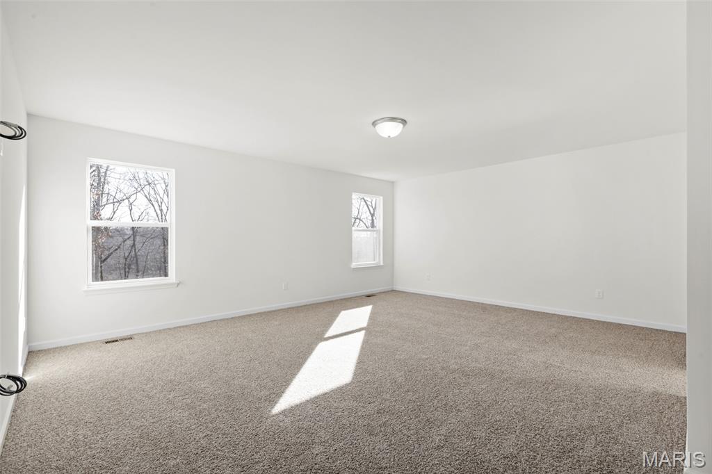 209 Gauntlet Lane Property Photo 19