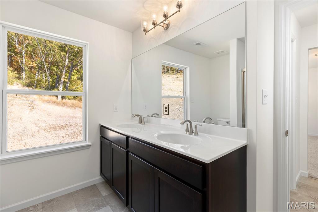 18425 Boone Ridge Manor Drive Property Photo 18