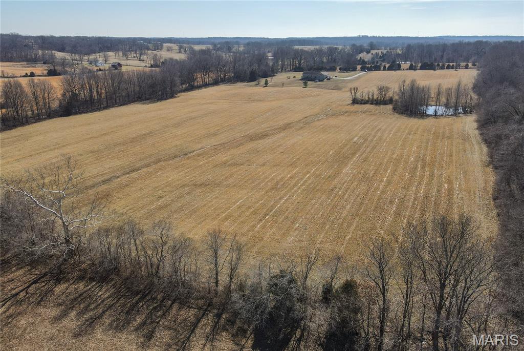 16501 County Road 420 Property Photo 8
