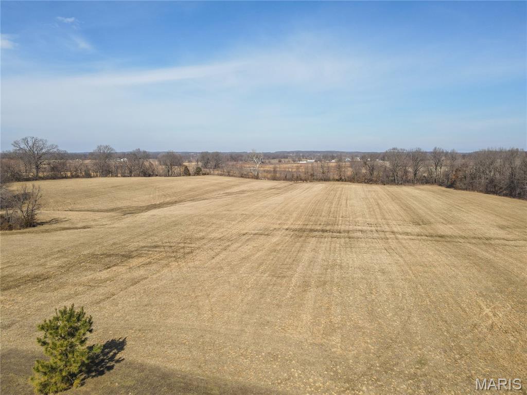 16501 County Road 420 Property Photo 10