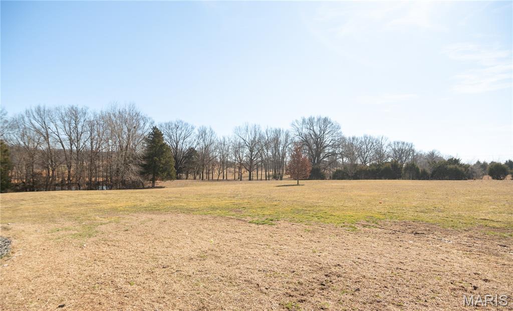 16501 County Road 420 Property Photo 46