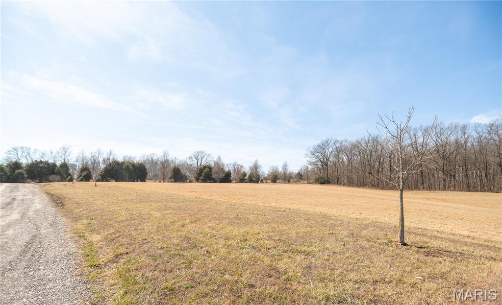 16501 County Road 420 Property Photo 49