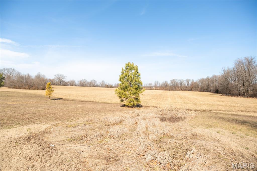 16501 County Road 420 Property Photo 51