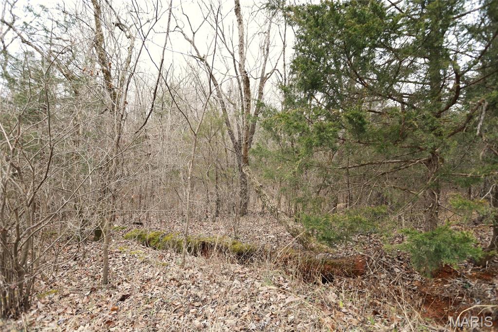 00 Roderick Road Property Photo 14