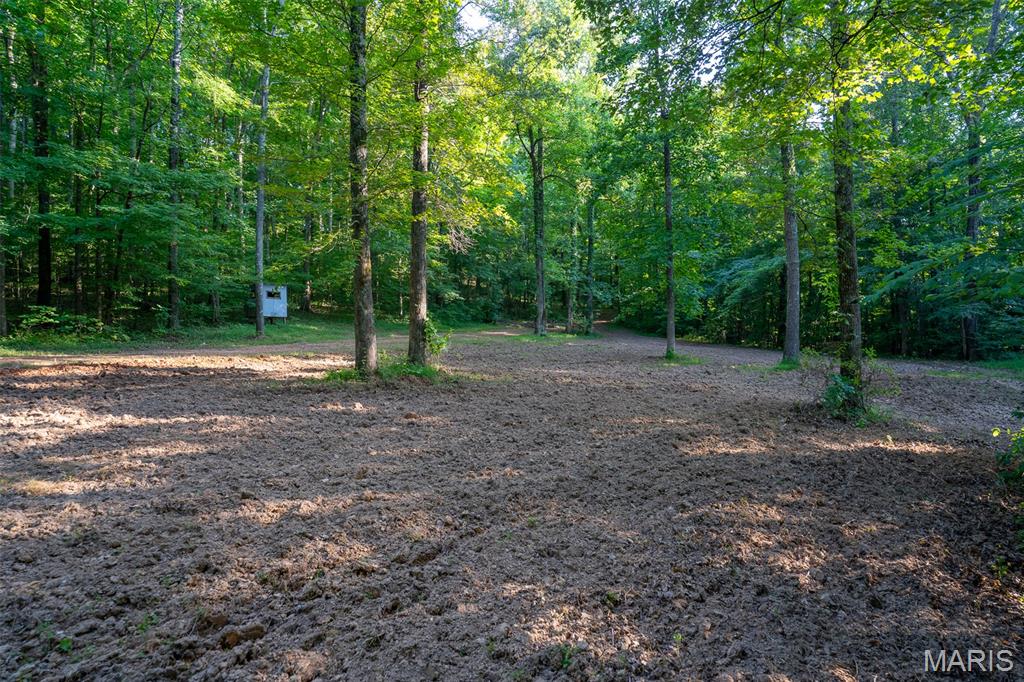 0 County Road 530 Tract 3 Property Photo 1