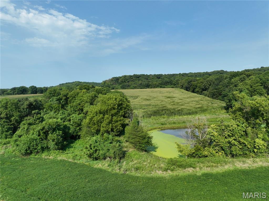 11742 Highway D Property Photo 6