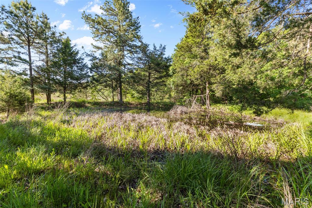 7630 Highway A Property Photo 61
