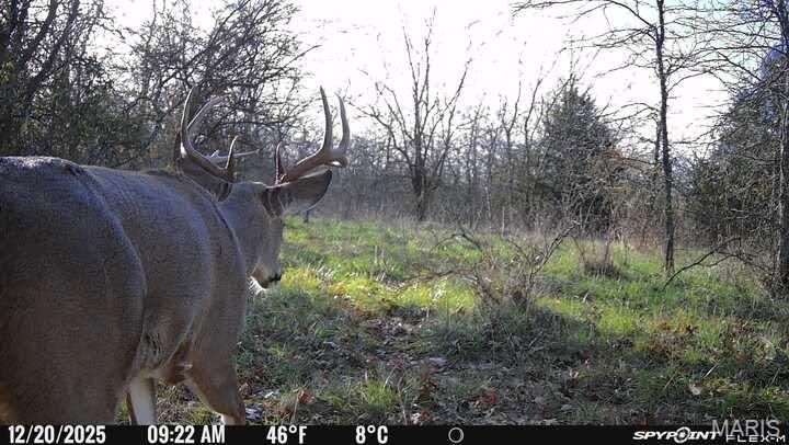 4260 N State Highway H Property Photo 9