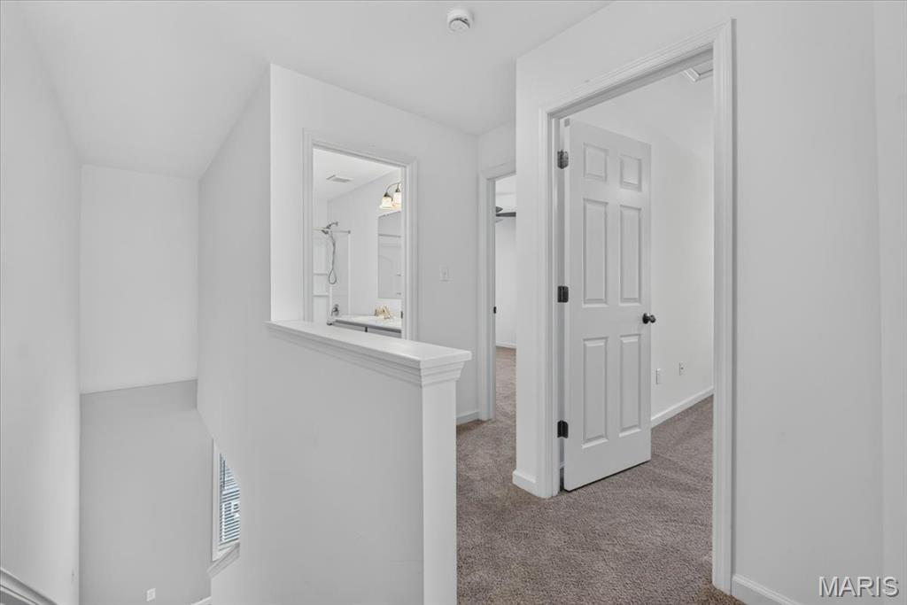 208 Freehold Rock Way Property Photo 34