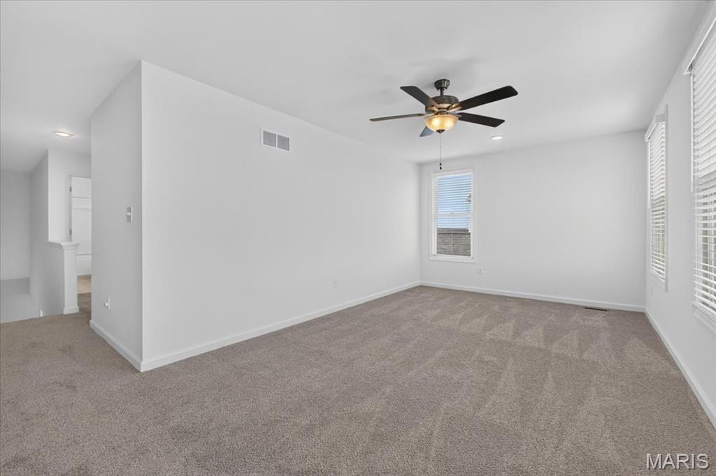 208 Freehold Rock Way Property Photo 43