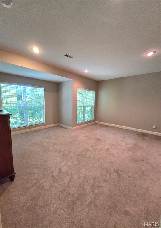 364 Whispering Forest Lane Property Photo 49