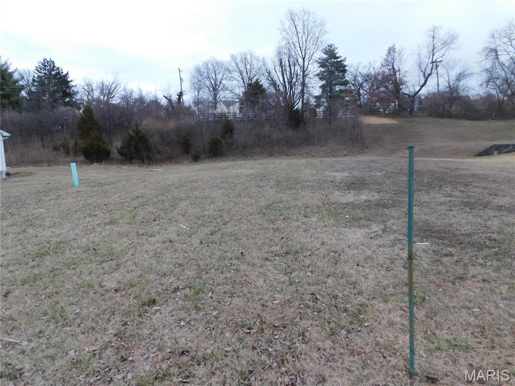 12022 Parker Estates Court Property Photo 1