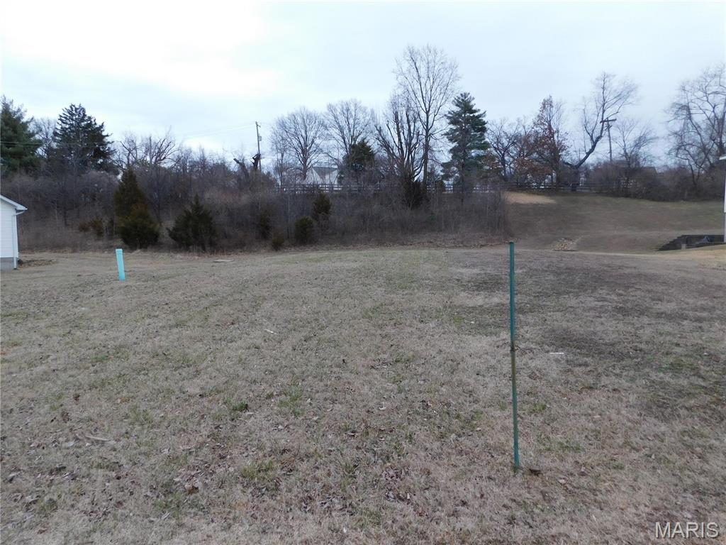 12023 Parker Estates Court Property Photo 1