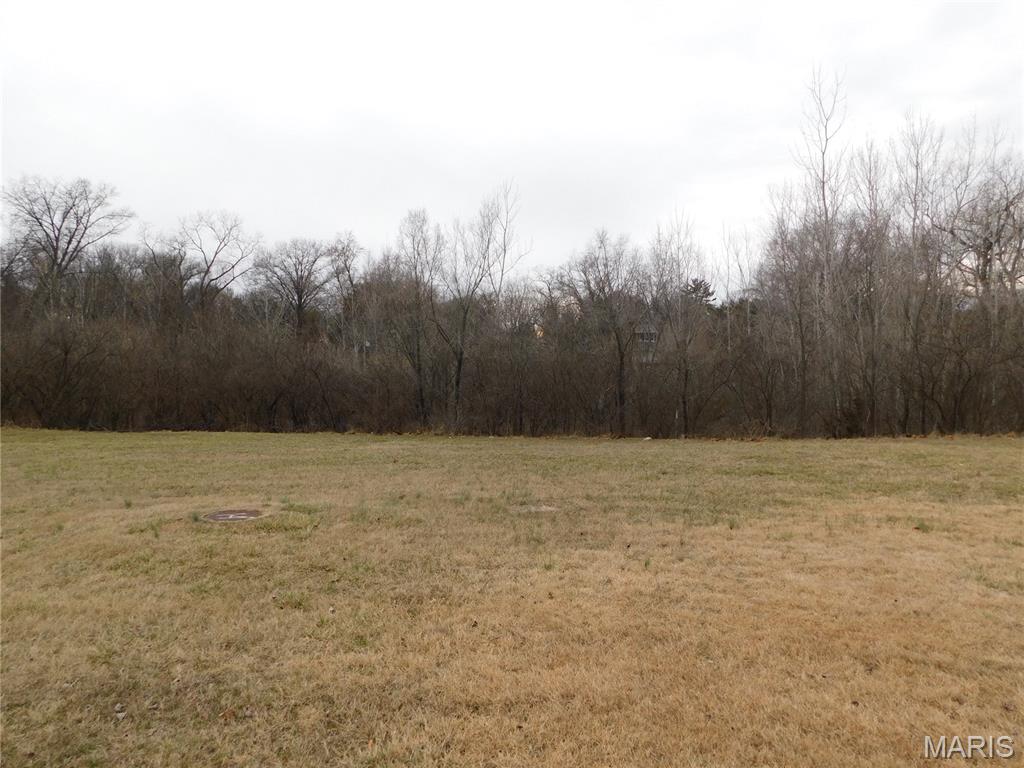12034 Parker Estates Court Property Photo 2