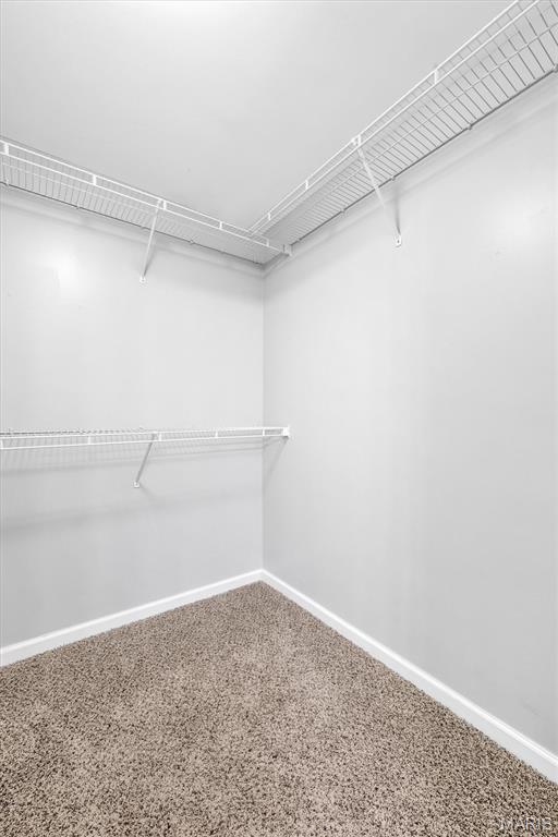 1117 Arbor Creek Drive 3c Property Photo 28
