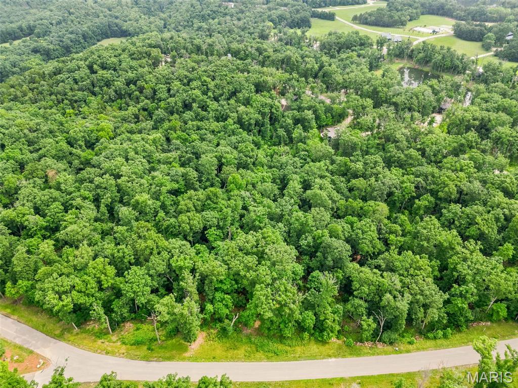 2835 Tyrolean Way Drive Property Photo 4
