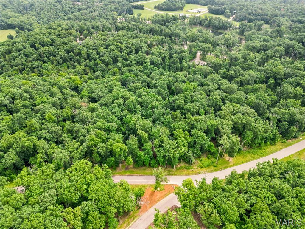2835 Tyrolean Way Drive Property Photo 8