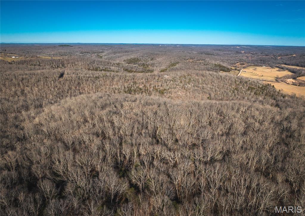 00 County Road 555-b Property Photo 12