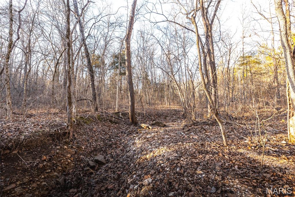 00 County Road 555-b Property Photo 13