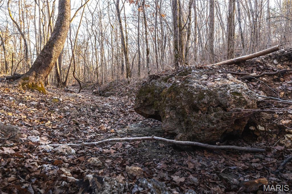 00 County Road 555-b Property Photo 14
