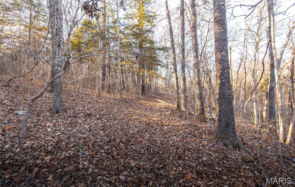 00 County Road 555-b Property Photo 16
