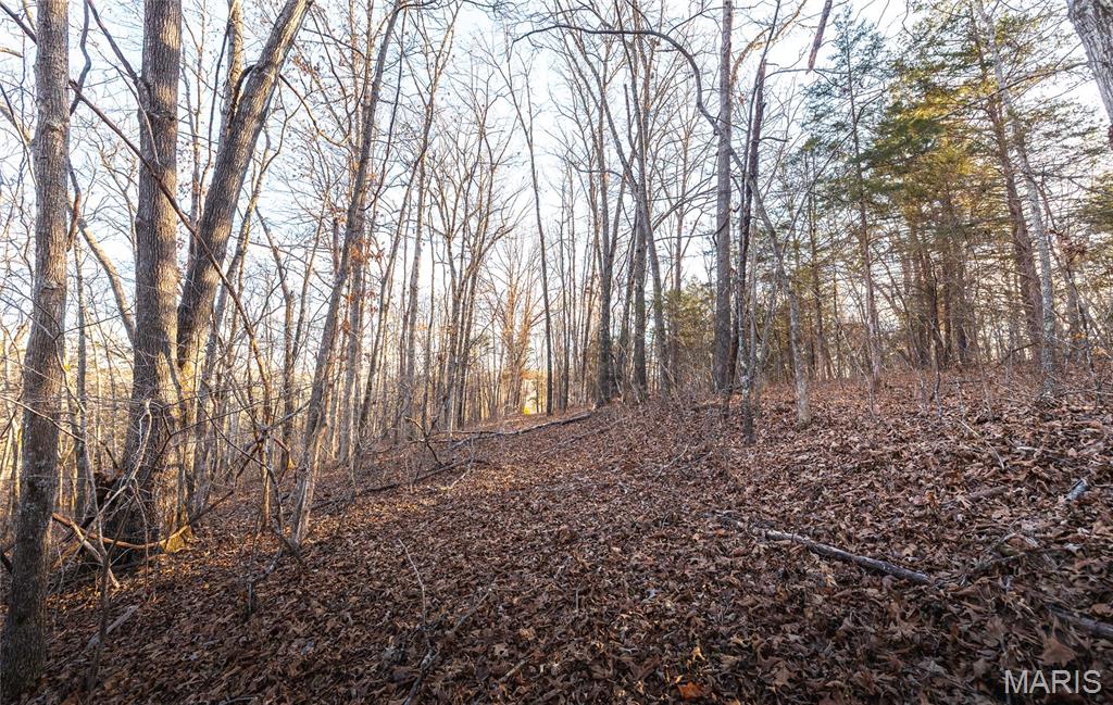 00 County Road 555-b Property Photo 17