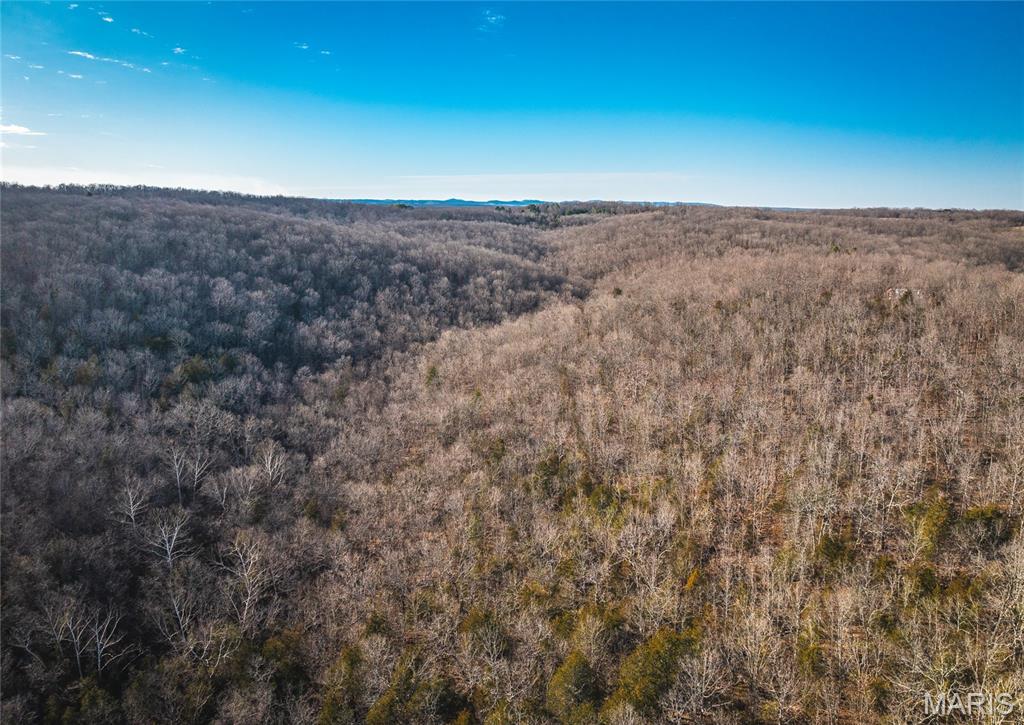 00 County Road 555-b Property Photo 18