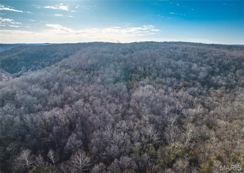00 County Road 555-b Property Photo 19