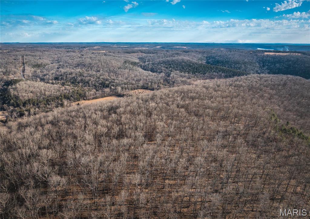 00 County Road 555-b Property Photo 20