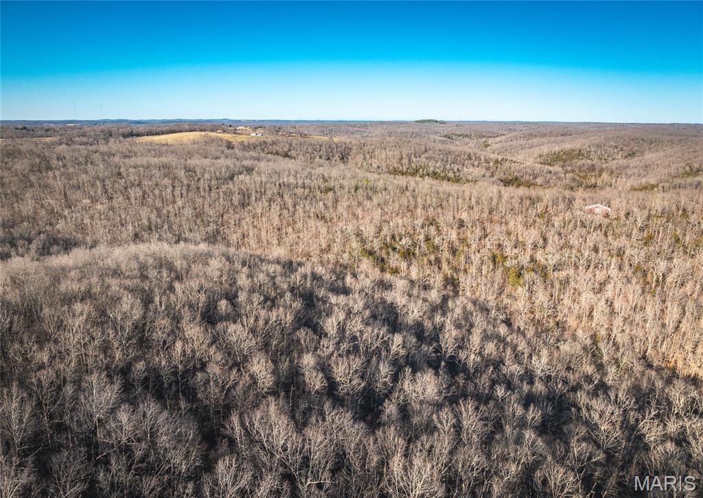 00 County Road 555-b Property Photo 22