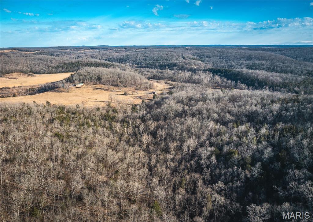 00 County Road 555-b Property Photo 26