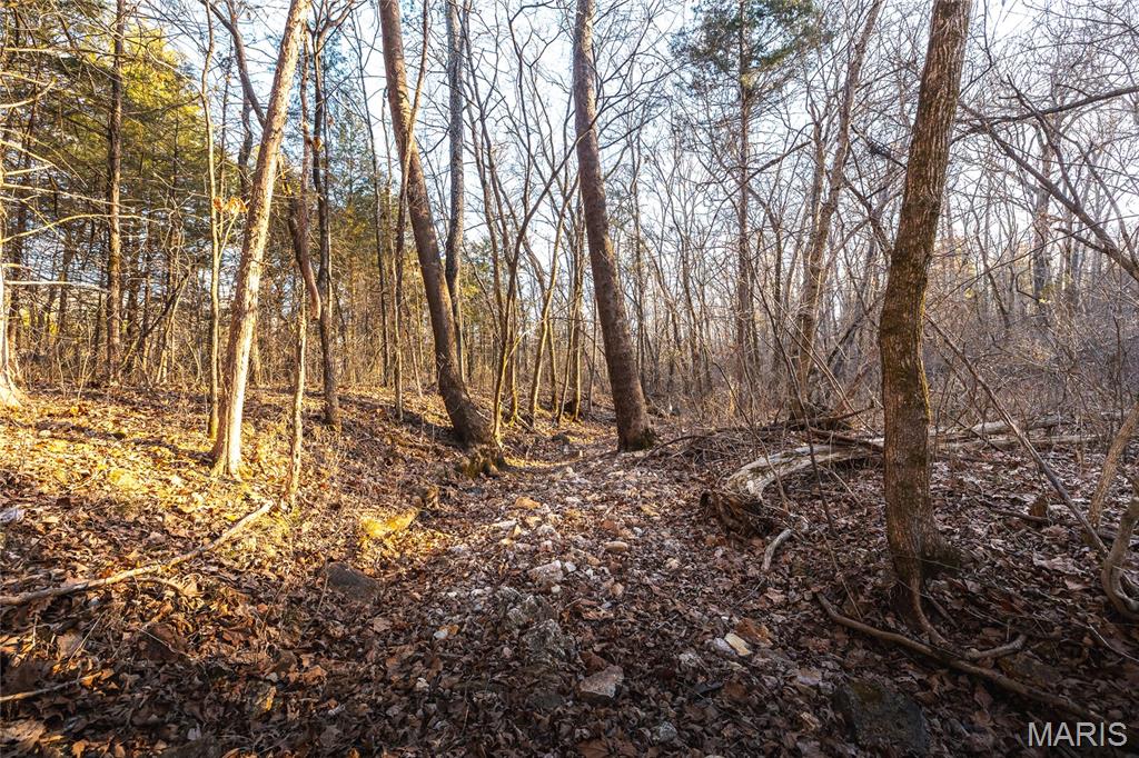 00 County Road 555-b Property Photo 27