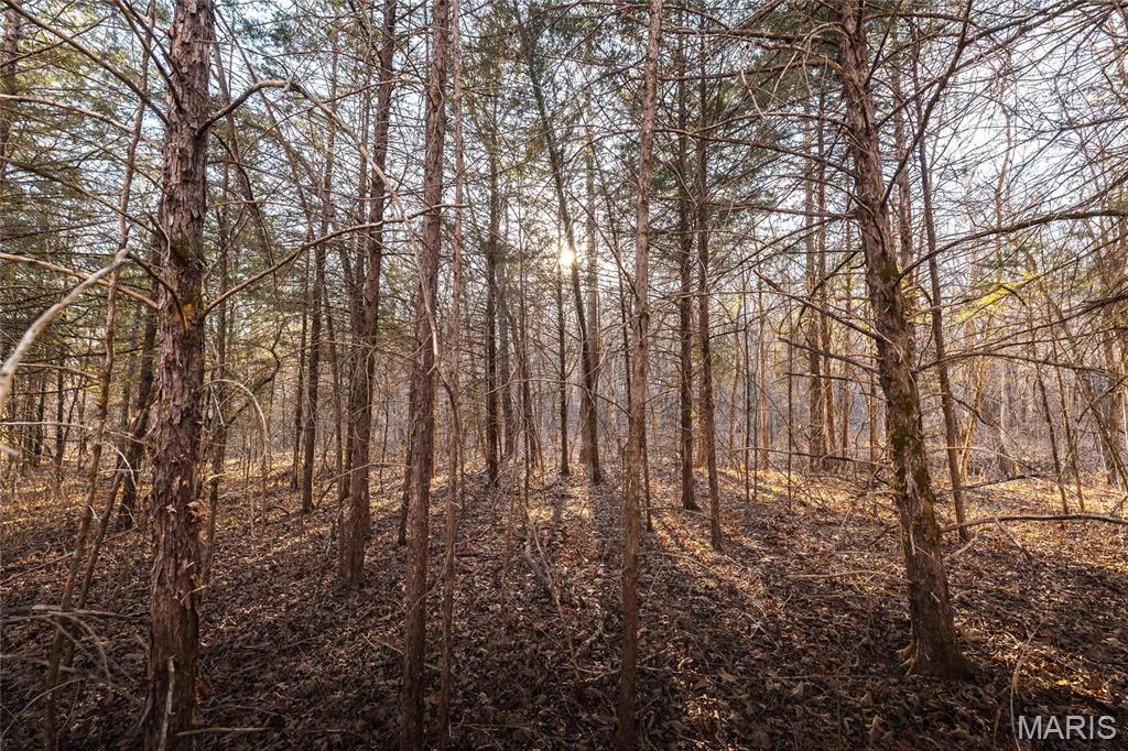 00 County Road 555-b Property Photo 28