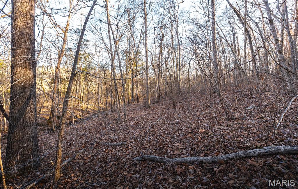 00 County Road 555-b Property Photo 29