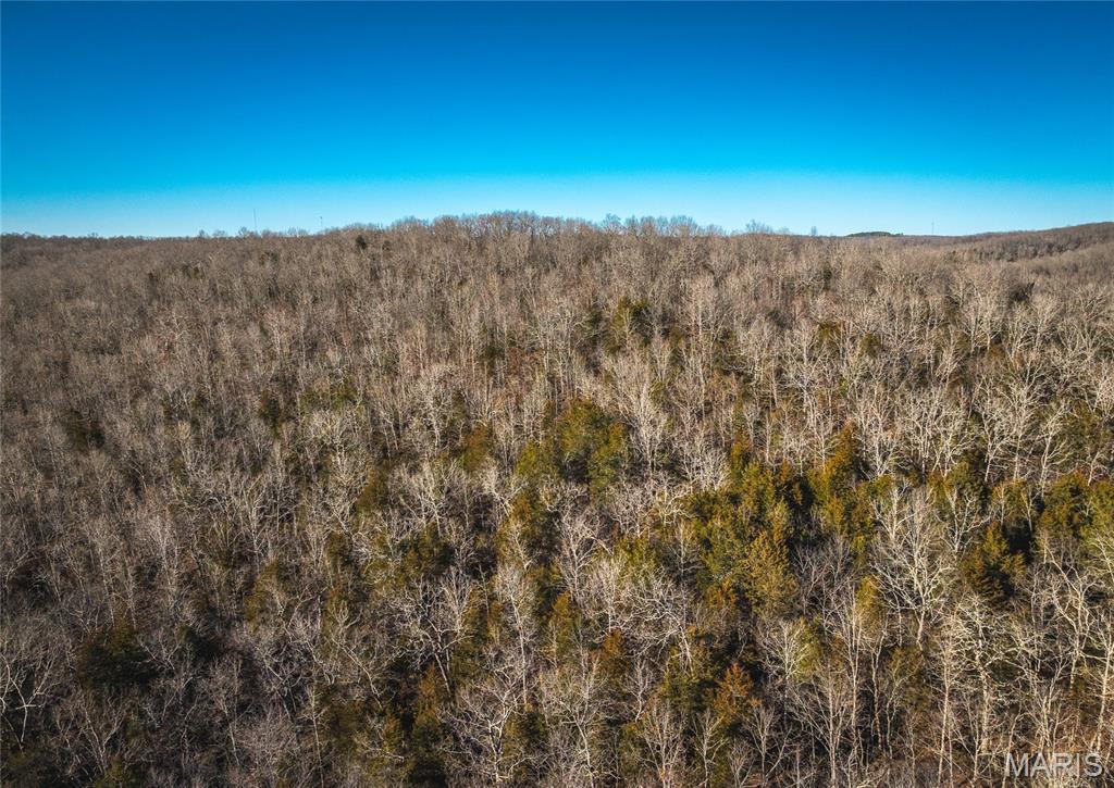 00 County Road 555-b Property Photo 30