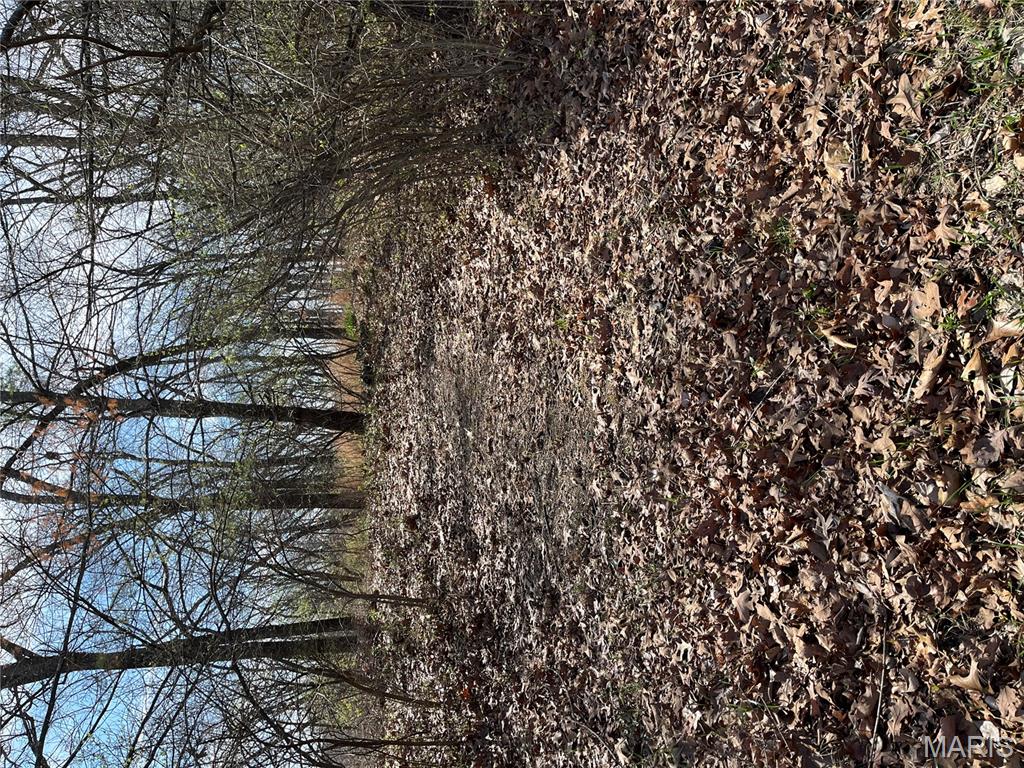 1455 Ridge Road Property Photo 5