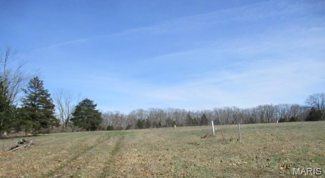 0 Industrial Drive Property Photo 2