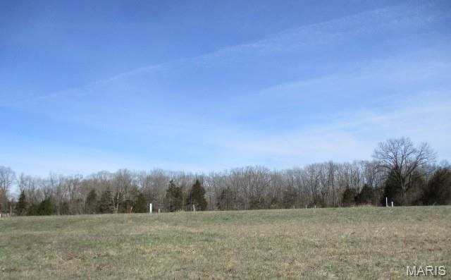 0 Industrial Drive Property Photo 3