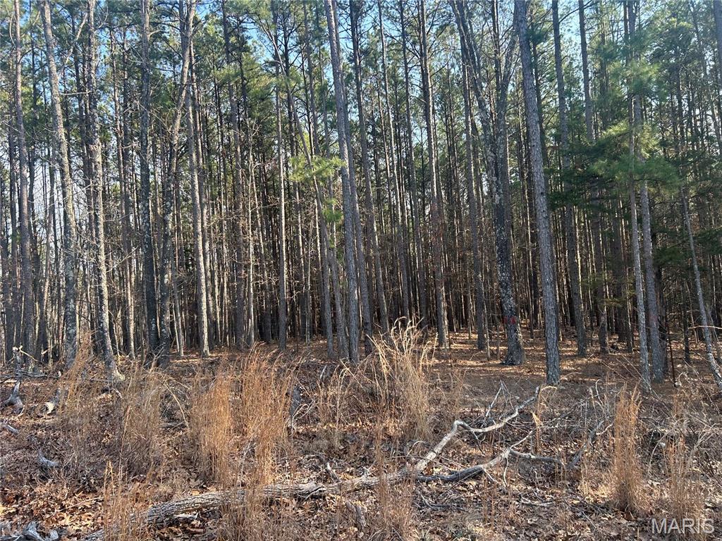 000 E Highway 32 Property Photo 5