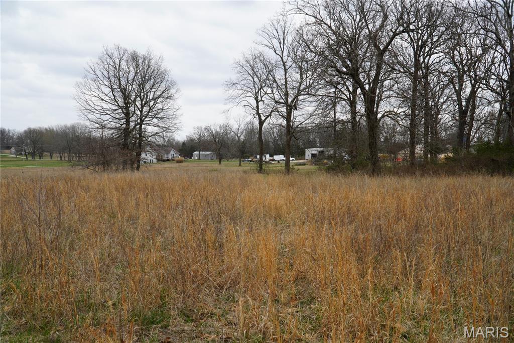 18143 Oasis Drive Property Photo 3