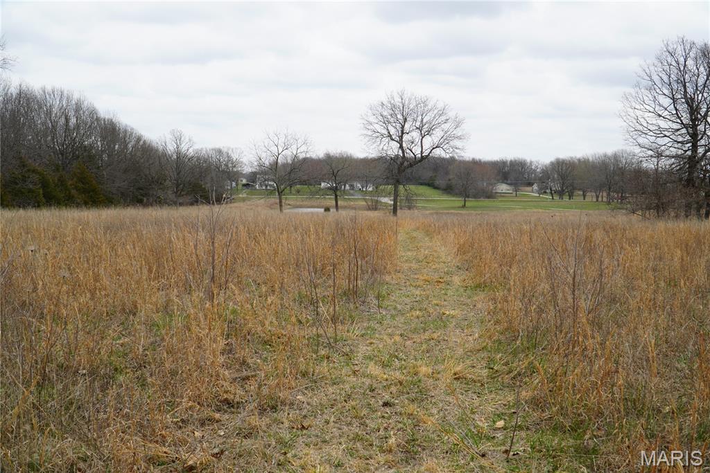 18143 Oasis Drive Property Photo 4