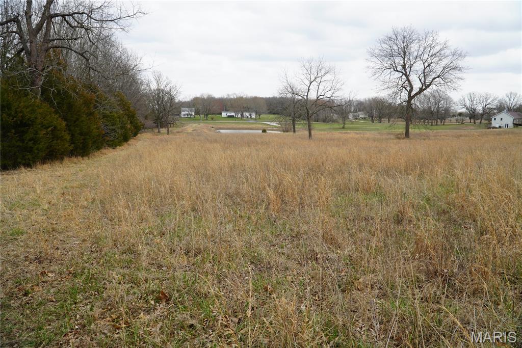 18143 Oasis Drive Property Photo 5