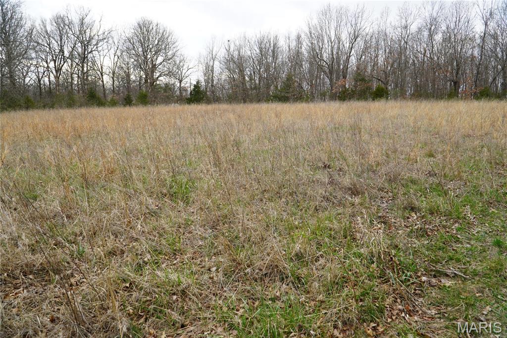 18143 Oasis Drive Property Photo 6
