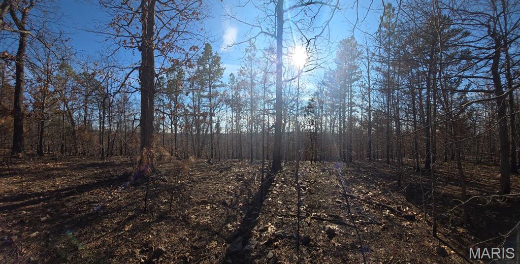 19-4.0-019-0 00-000-012.11000 Road Property Photo 8