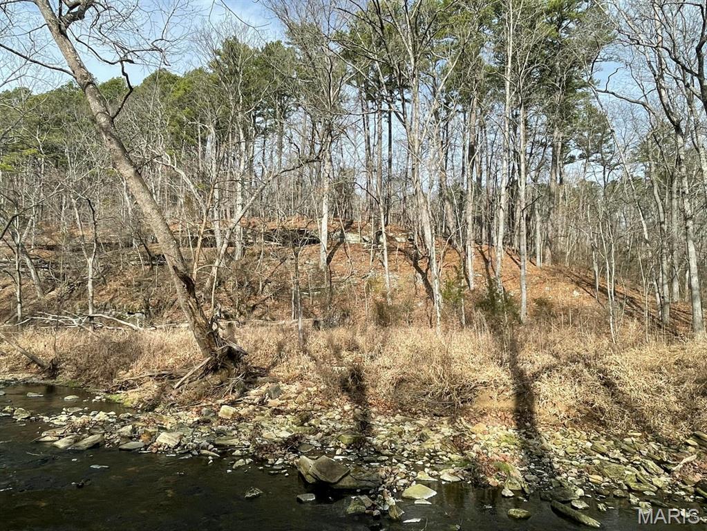 000 Forest Drive Property Photo 3