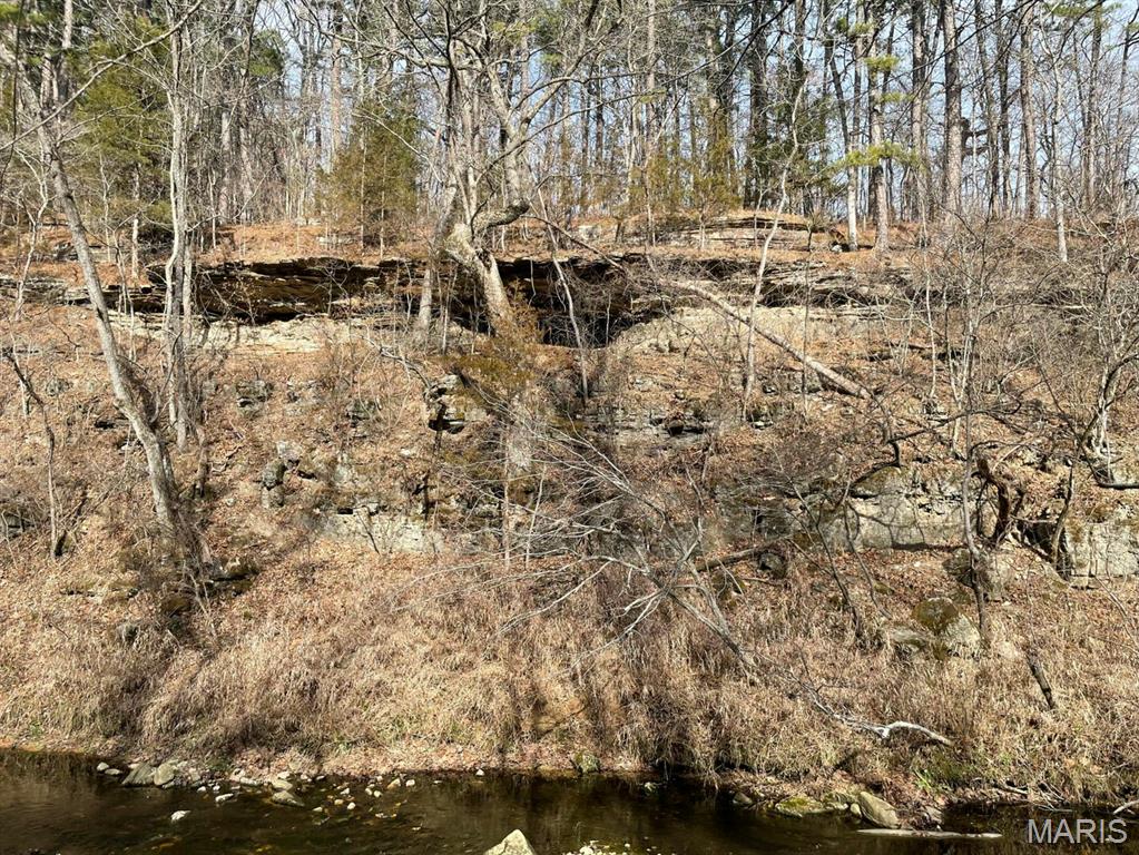 000 Forest Drive Property Photo 5